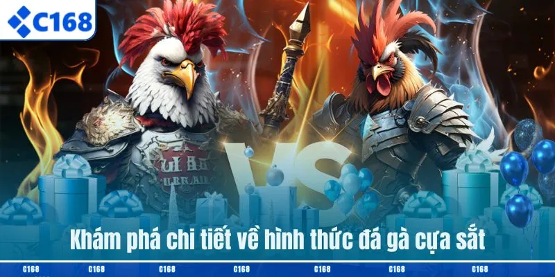 Khám phá chi tiết về hình thức đá gà cựa sắt
